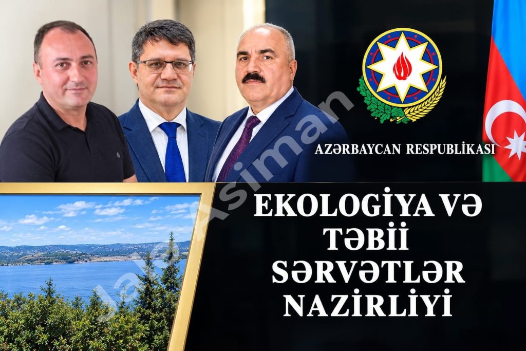 ​CƏLİLABAD MEŞƏLƏRİNDƏ NƏ BAŞ VERİR? –